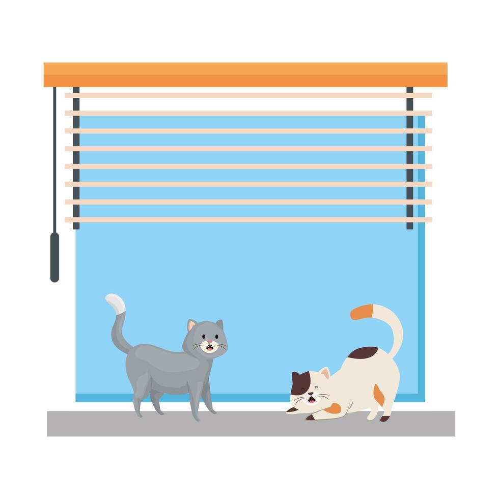 window for interior and exterior with cats mascots, isolated icon vector