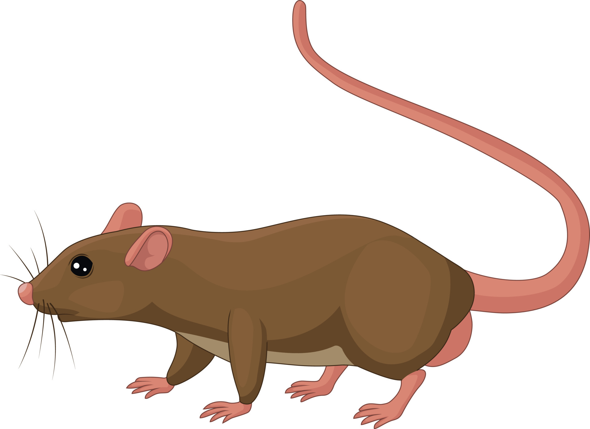 clipart rats