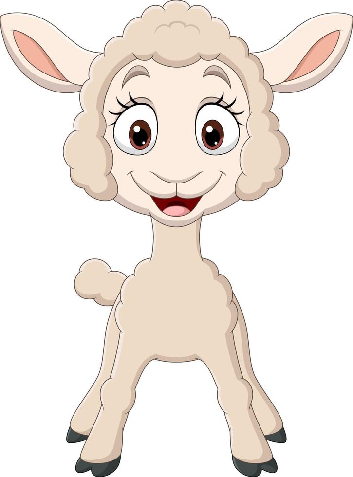 Cute baby lamb cartoon vector