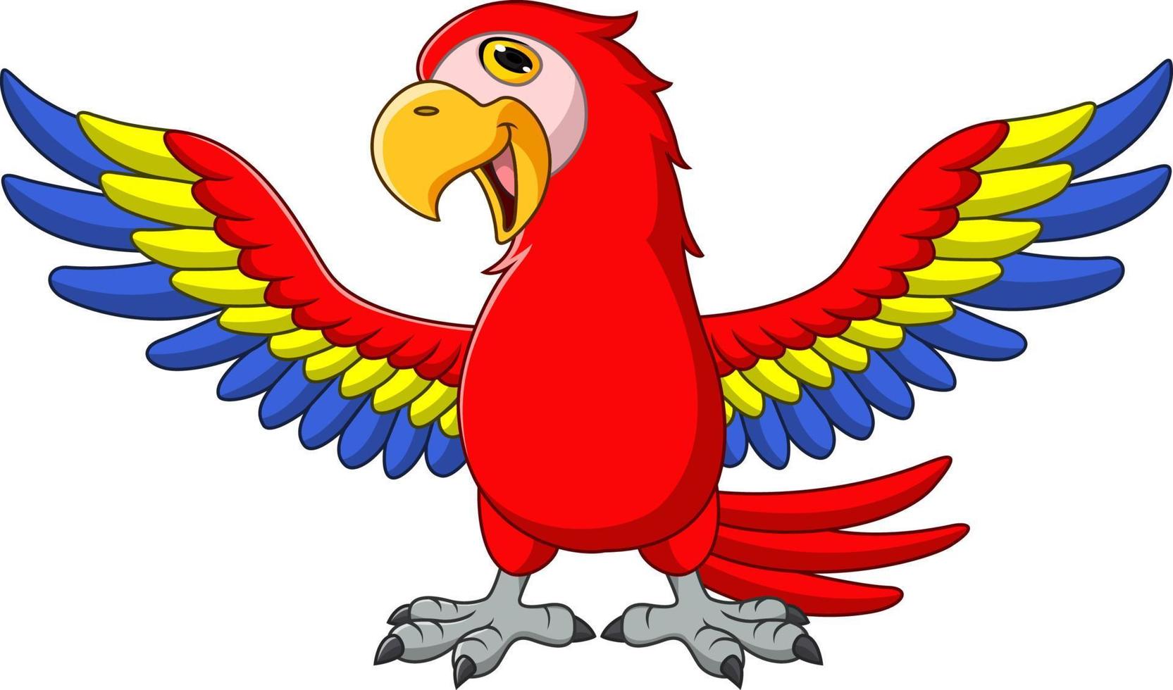 Cartoon funny macaw isolated on white background vector