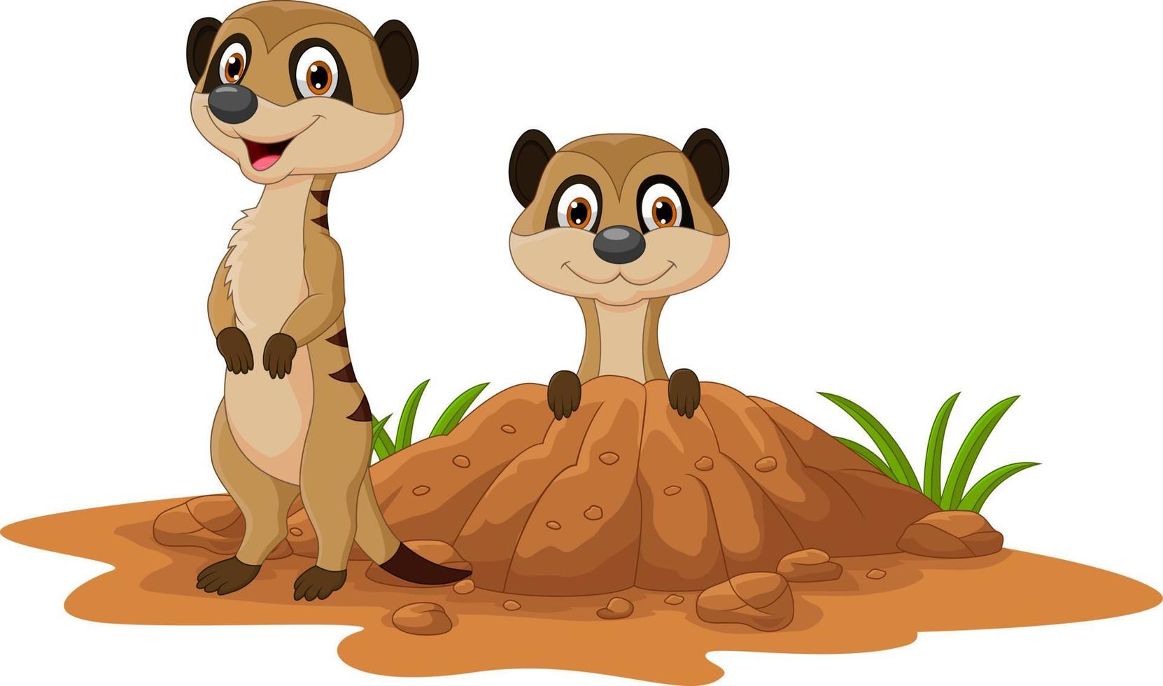 Cartoon two meerkats on white background vector