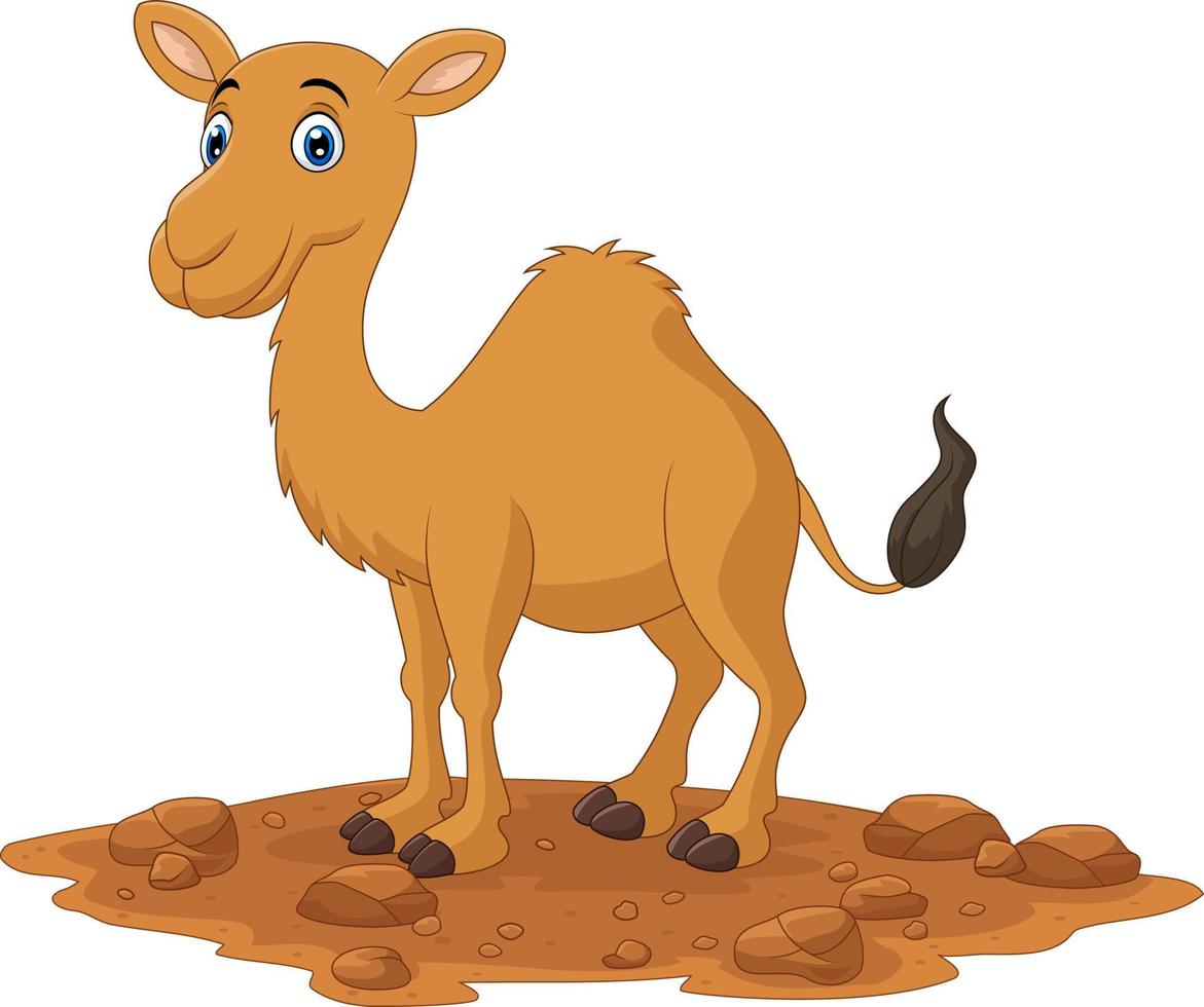 Cartoon camel isolated on white background vector