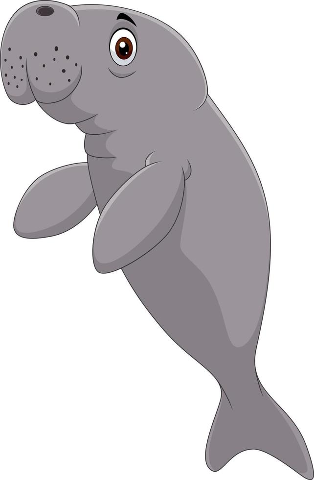 Cute manatee cartoon on white background vector
