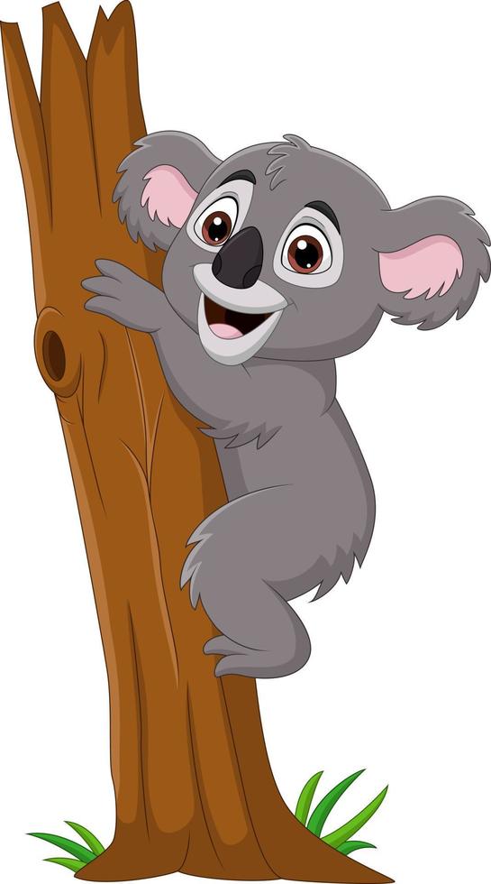 Cartoon koala climbing tree branch vector