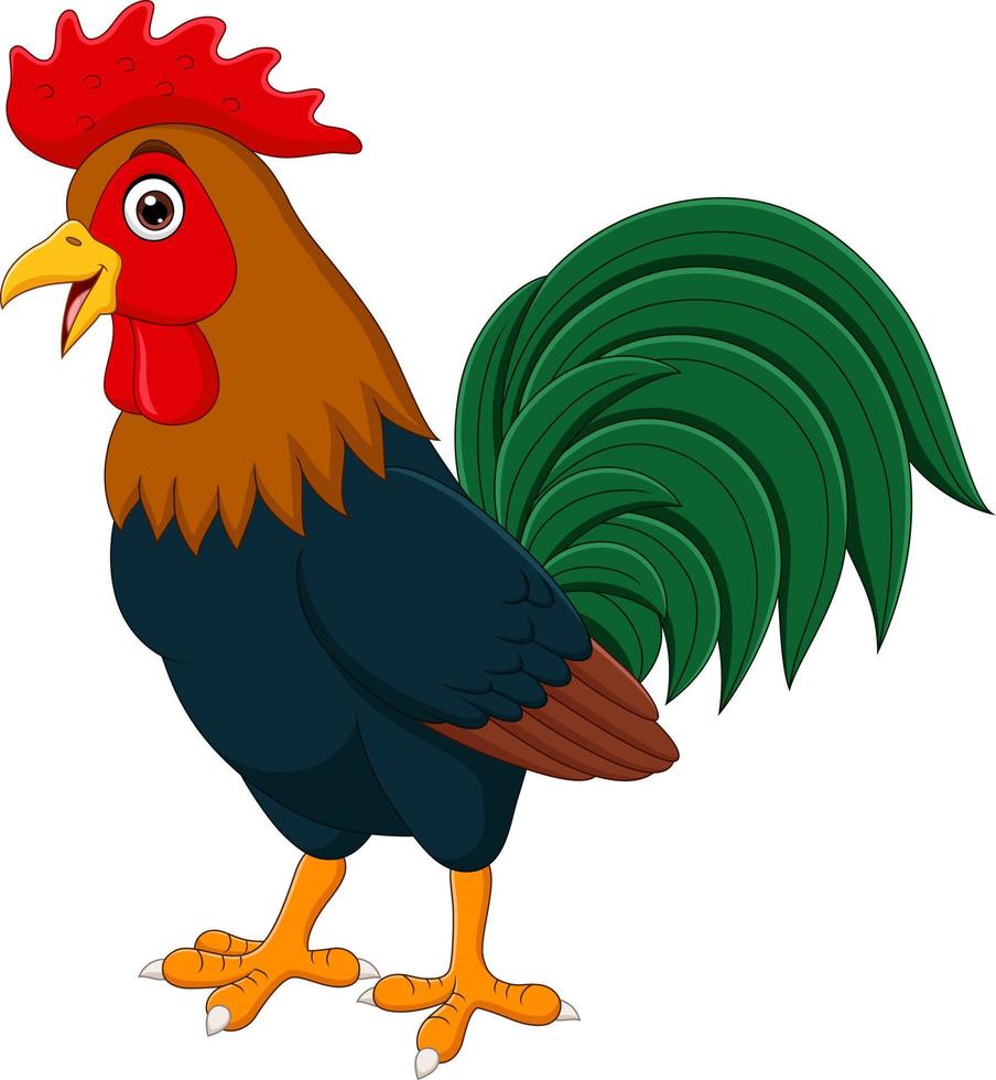 gallo divertido de dibujos animados sobre fondo blanco vector