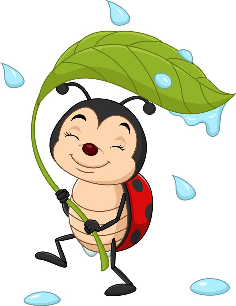 Cartoon ladybug holding a green leaf vector