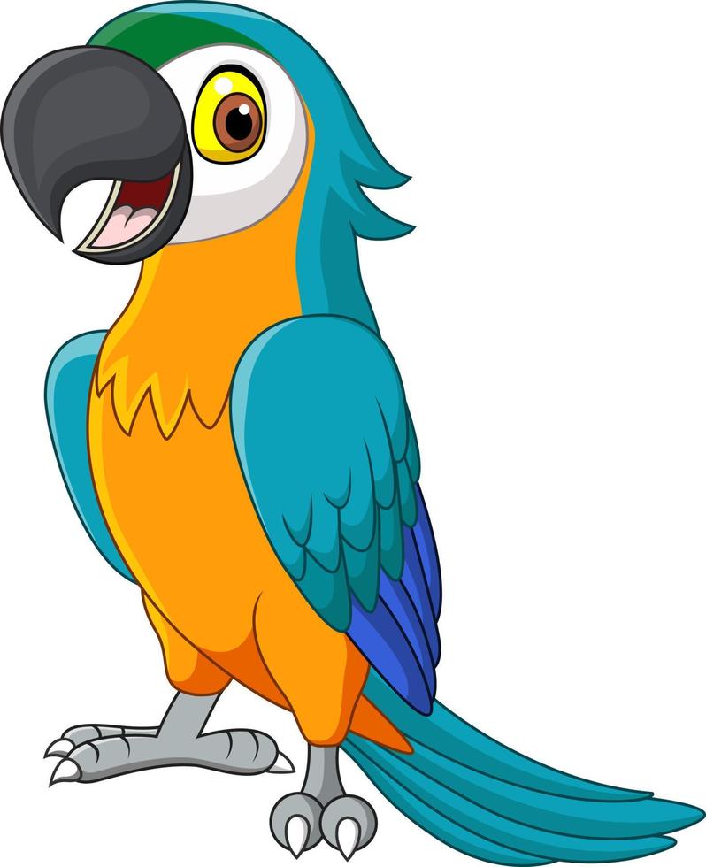 Cartoon blue macaw isolated on white background vector