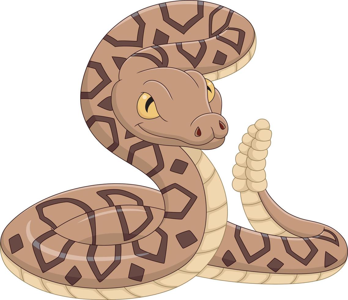 Cartoon snake on white background vector