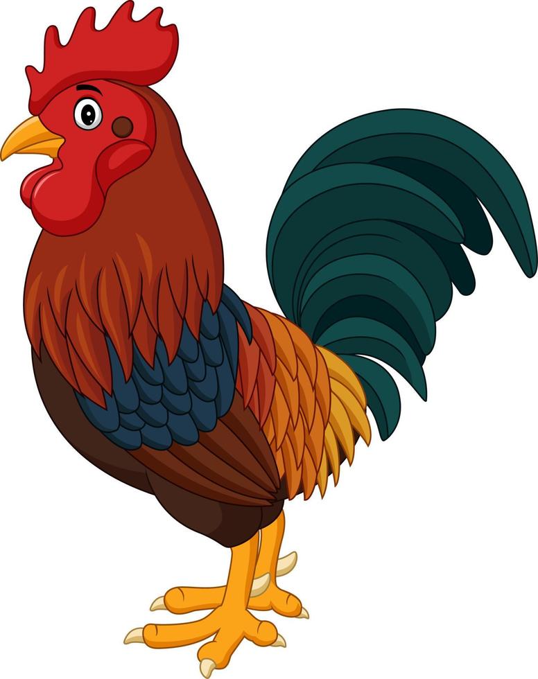 Cartoon rooster crowing isolated on white background vector