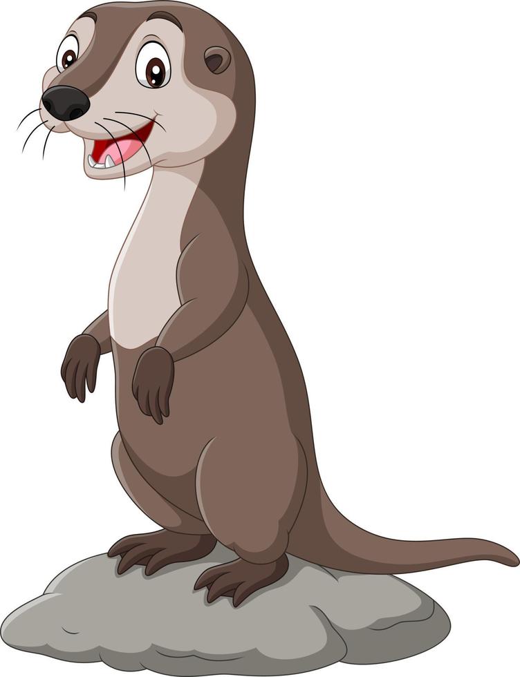 Cartoon otter standing on the rock vector