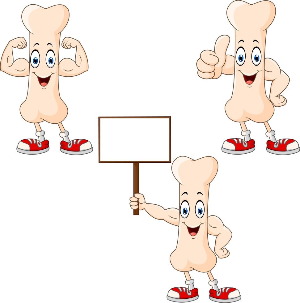 Cartoon happy bones character with different poses vector