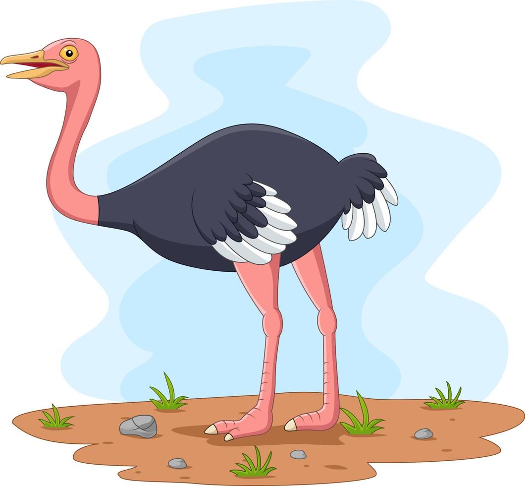 Cartoon ostrich in the field vector
