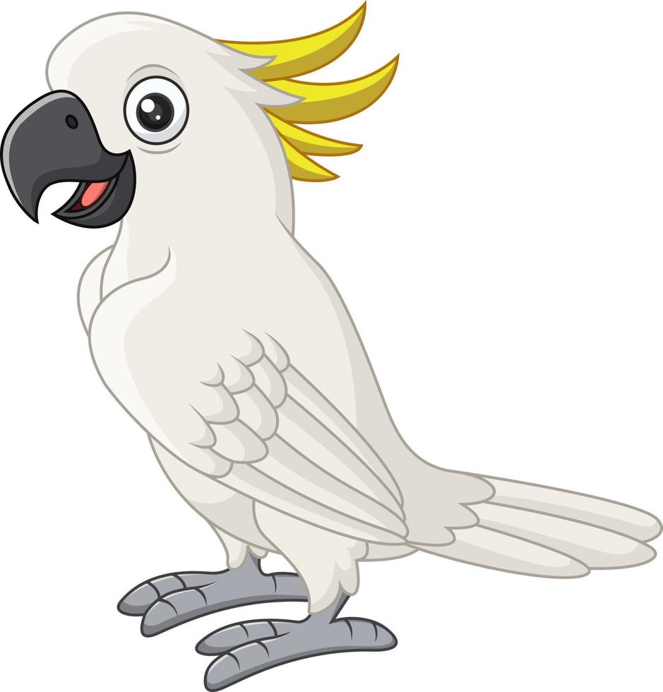 Cartoon white cockatoo on white background vector