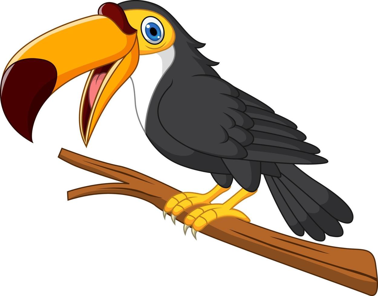 Cartoon toucan bird on tree branch vector