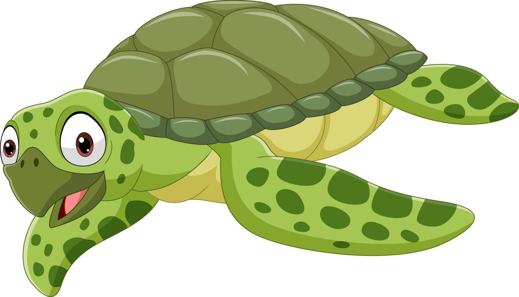 Cartoon sea turtle on white background vector