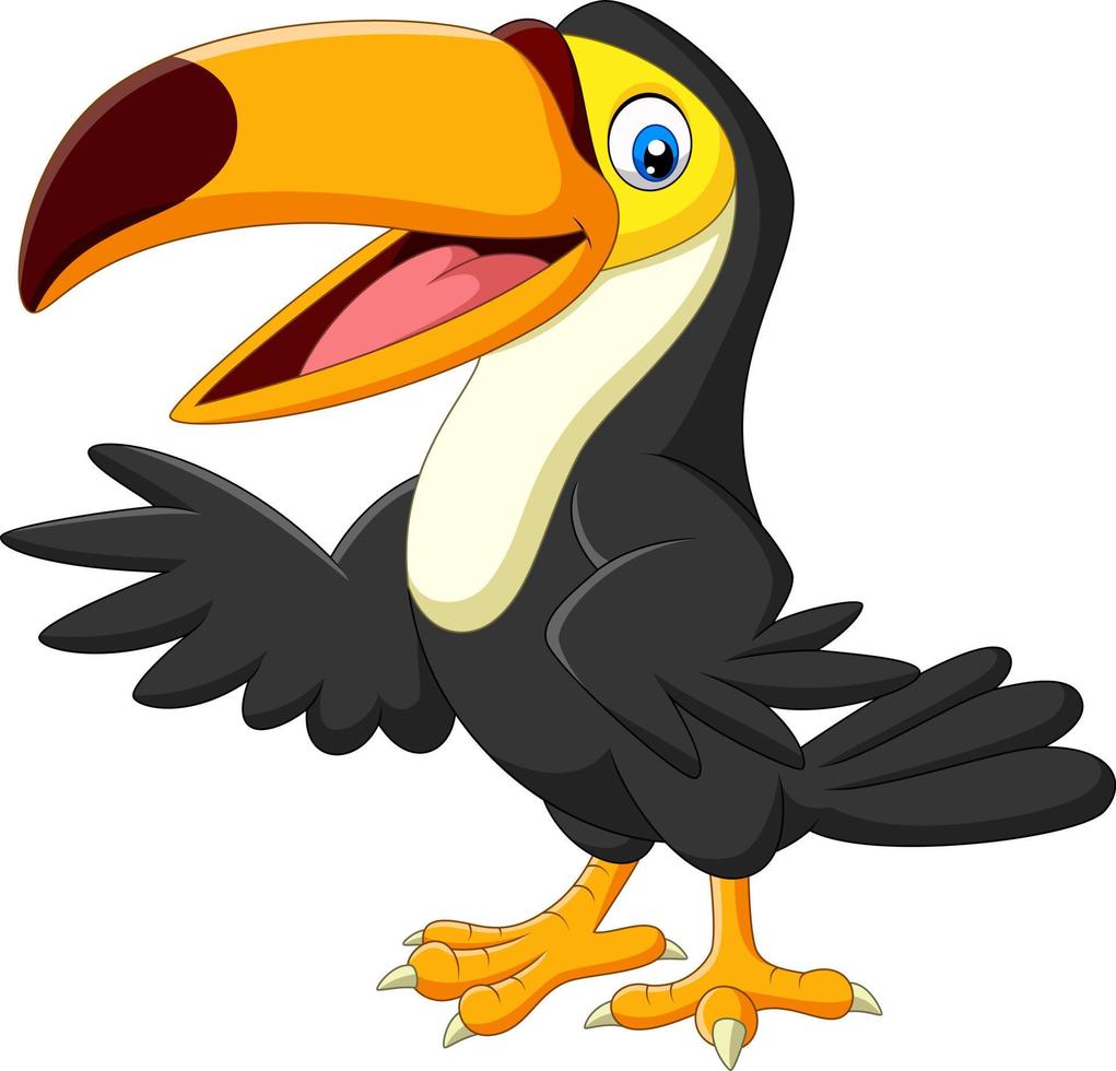 Cartoon toucan isolated on white background vector