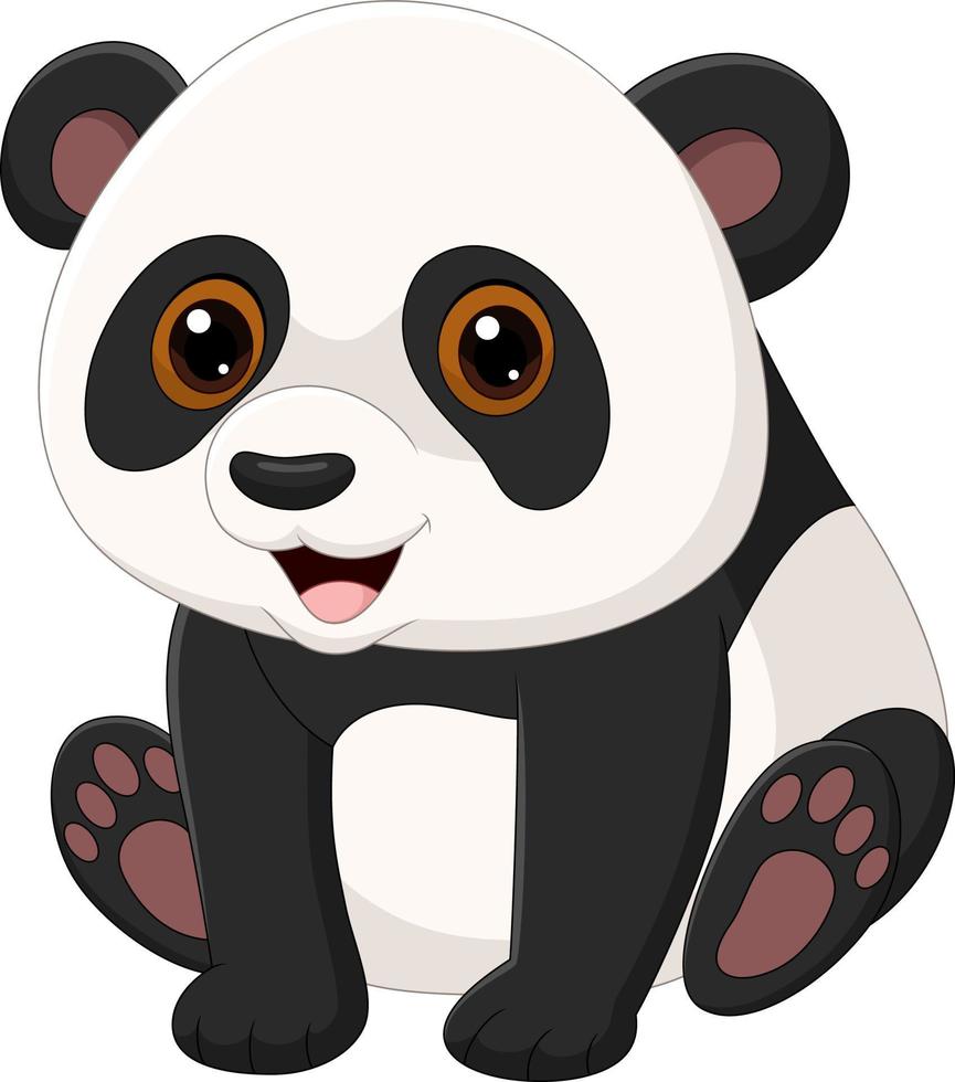 Cute little panda sitting isolated on white background vector