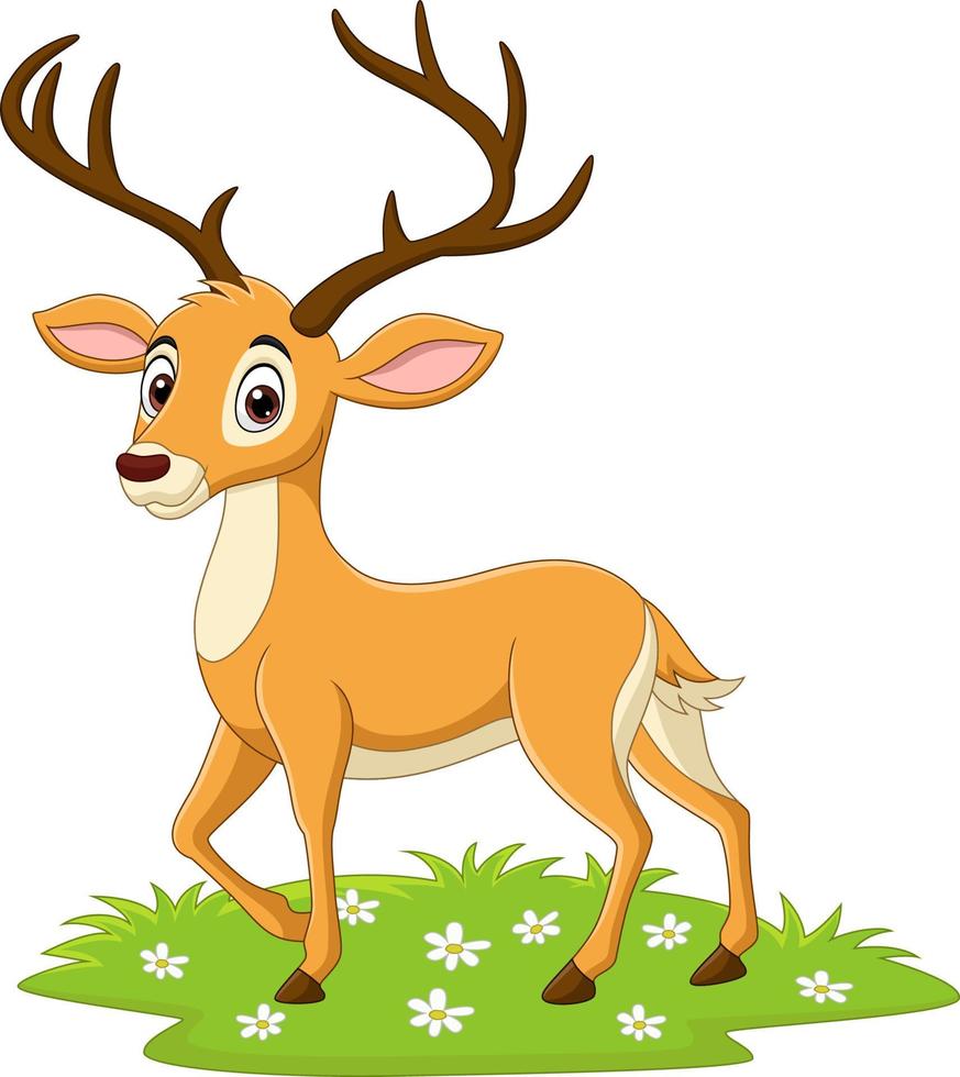 Cartoon deer in the grass vector