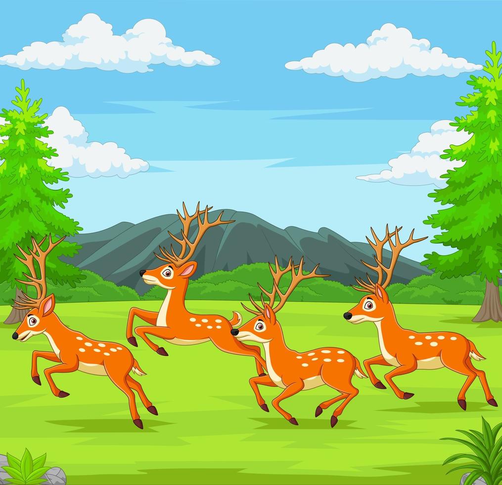 Cartoon deers running in the forest vector