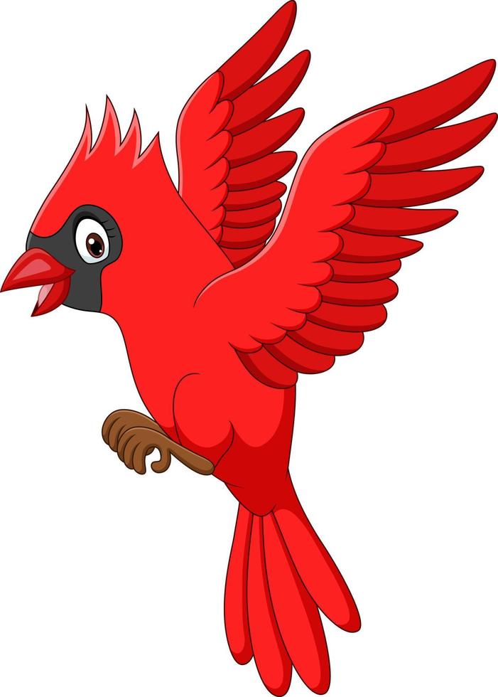 pájaro cardenal de dibujos animados volando sobre fondo blanco 5162368  Vector en Vecteezy