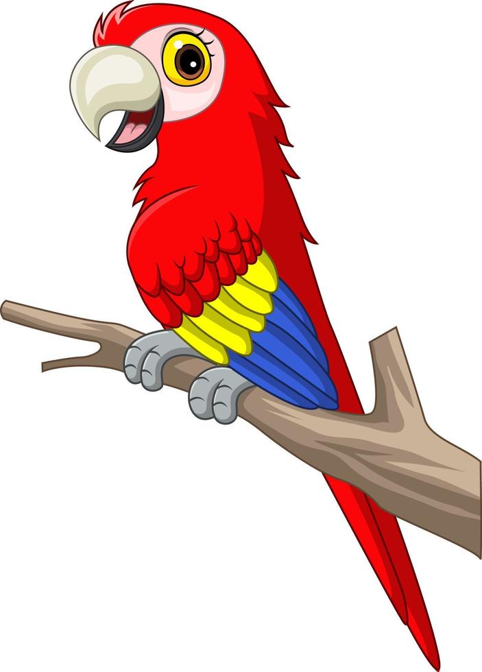 Cartoon funny macaw on tree branch vector