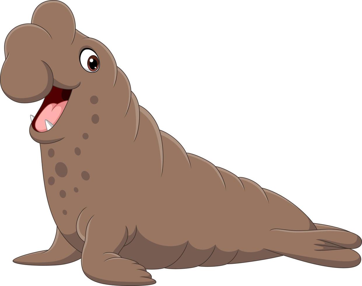 Cartoon bull elephant seal on white background vector