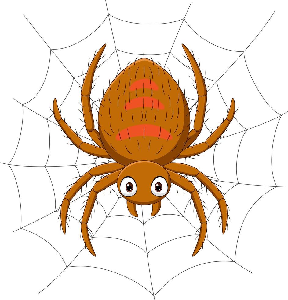 Cartoon spider on the cobweb vector