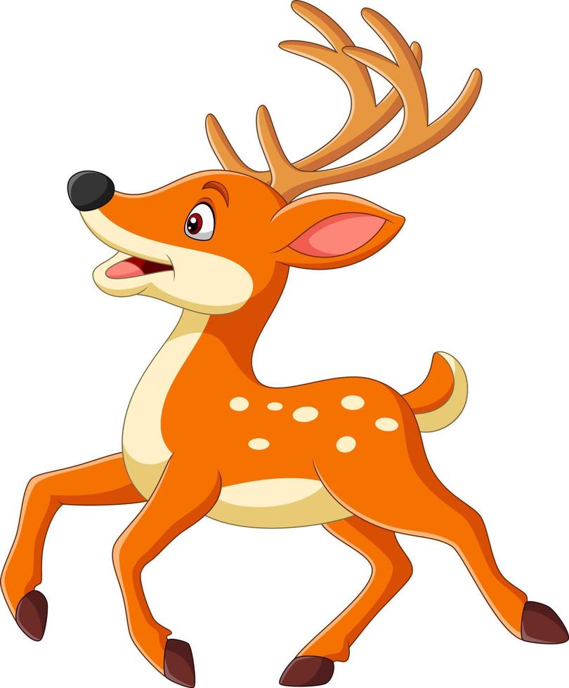 Cute deer cartoon running vector