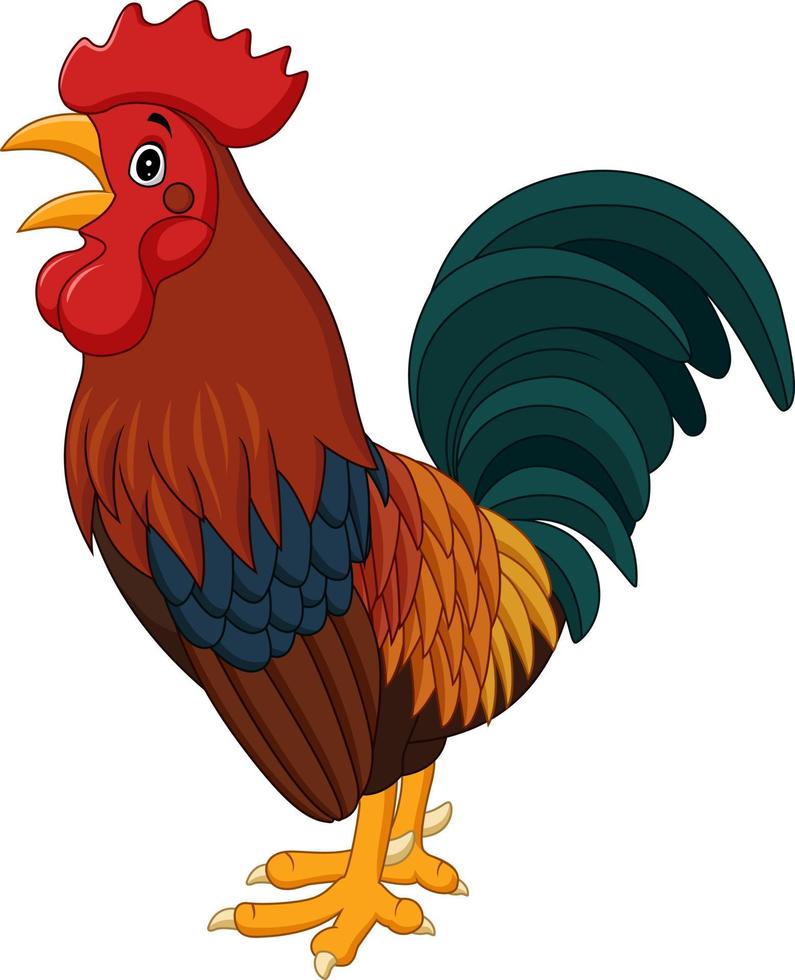 Cartoon rooster isolated on white background vector
