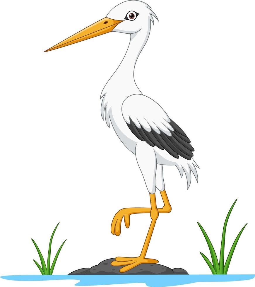 Cartoon white stork on stone vector