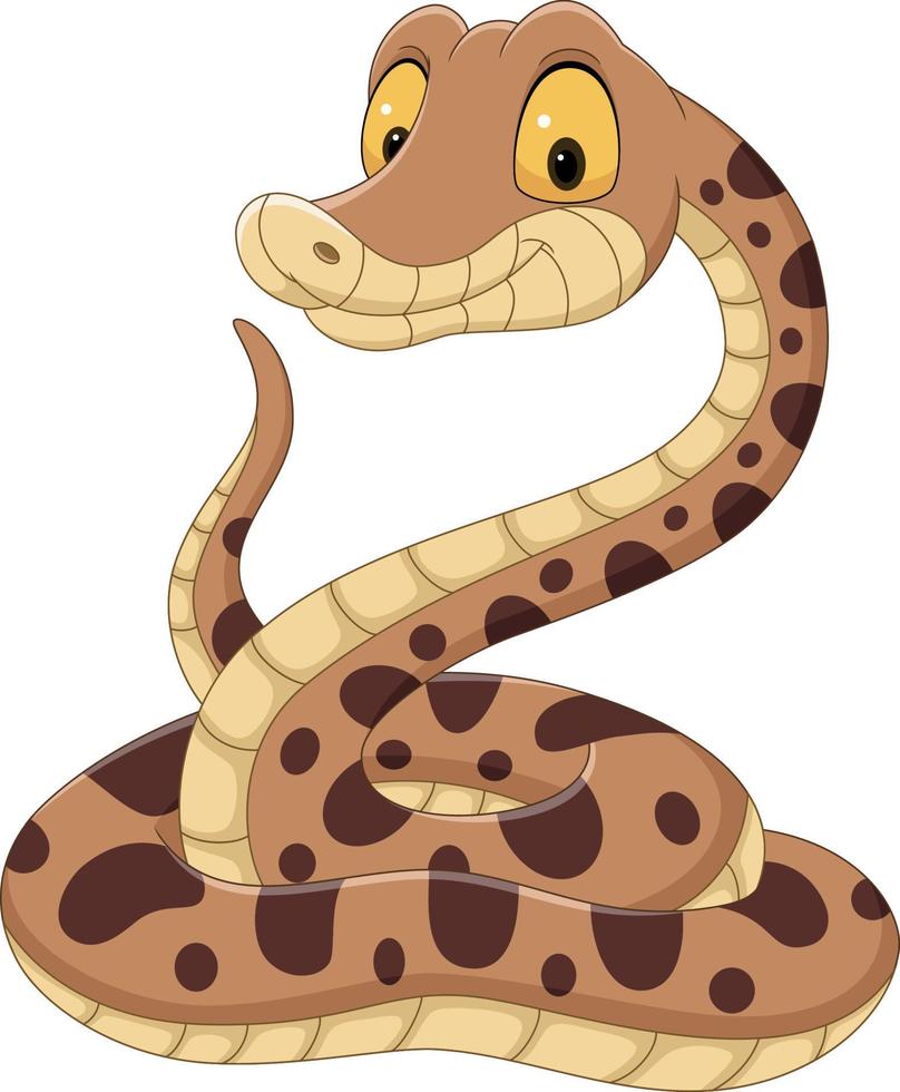 Cartoon snake on white background vector