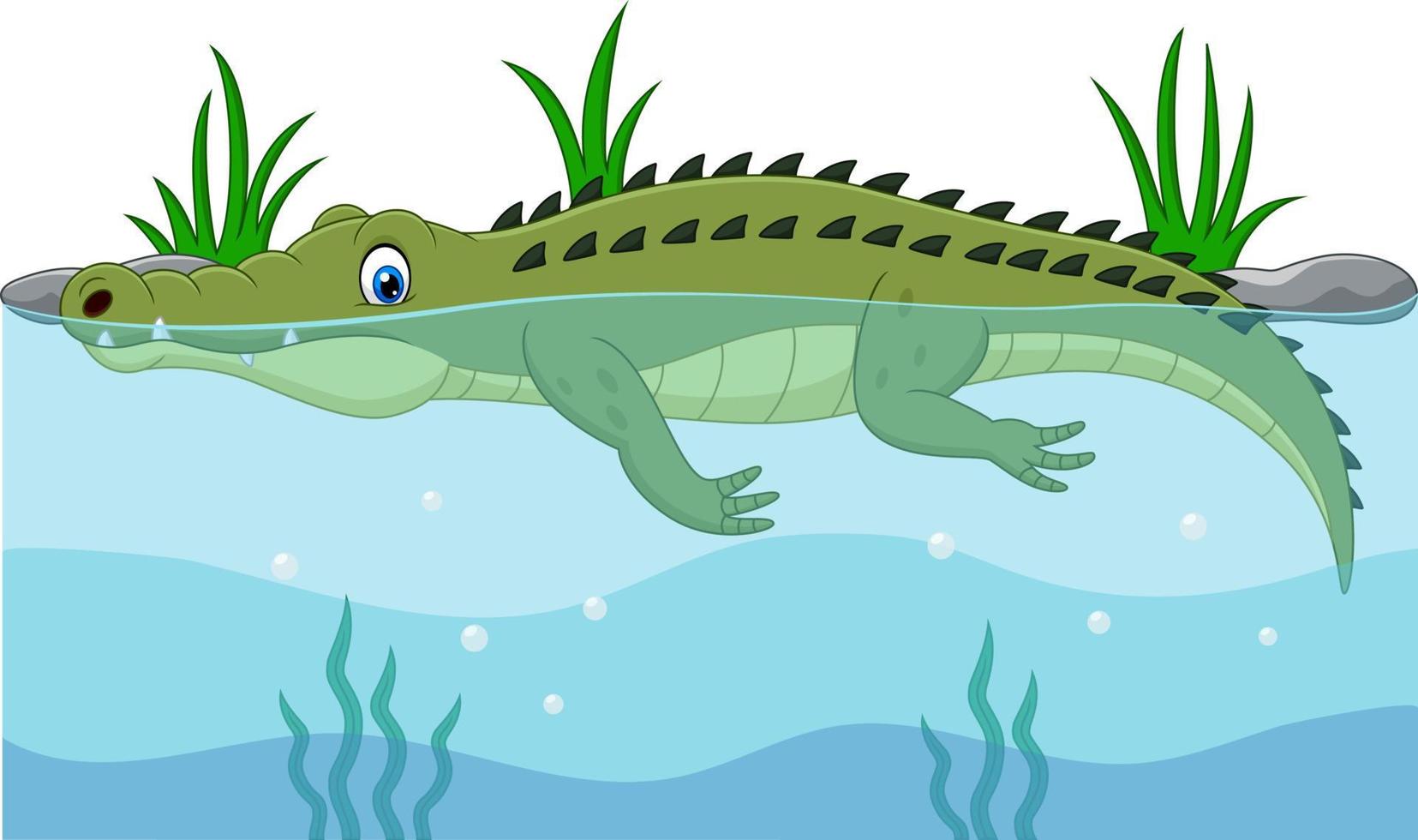 Cartoon green crocodile swimming in the river vector