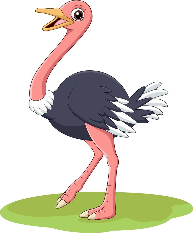 Cartoon happy ostrich in the grass vector