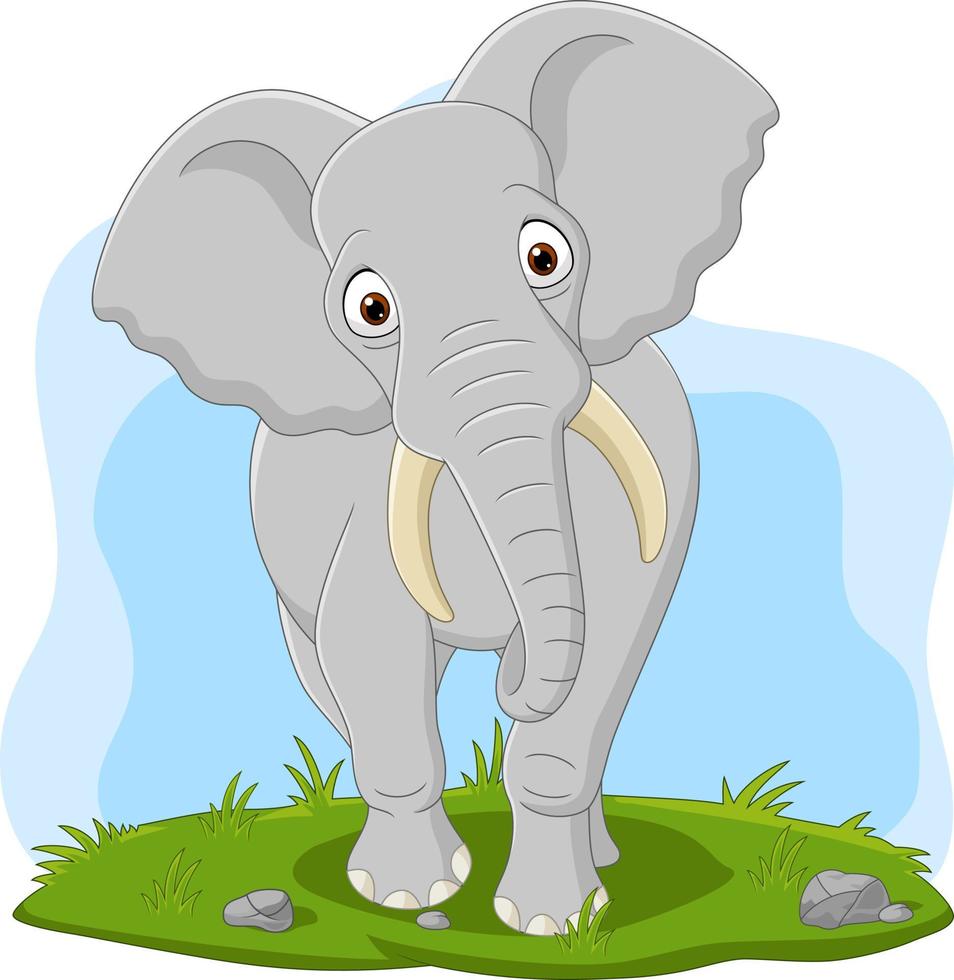 Cartoon happy elephant in the grass vector