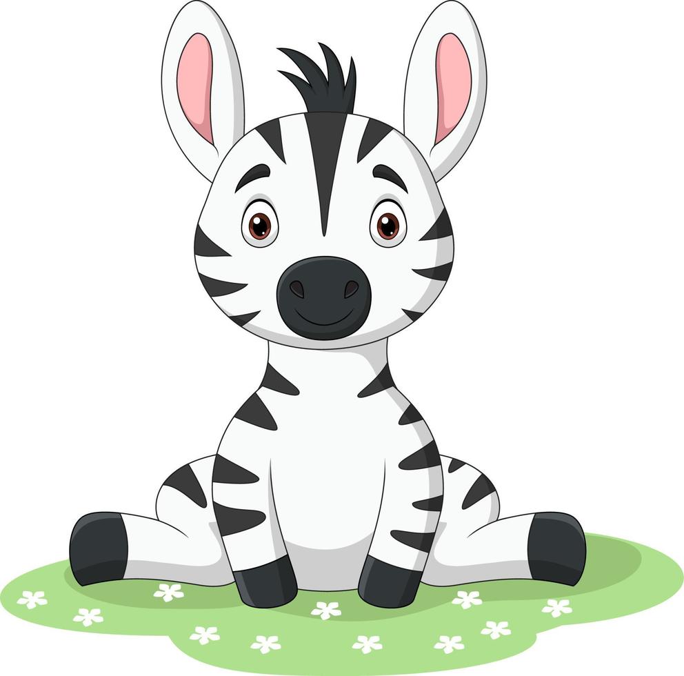 Cute baby zebra sitting in the grass vector