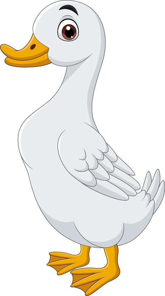 Cartoon duck isolated on white background vector