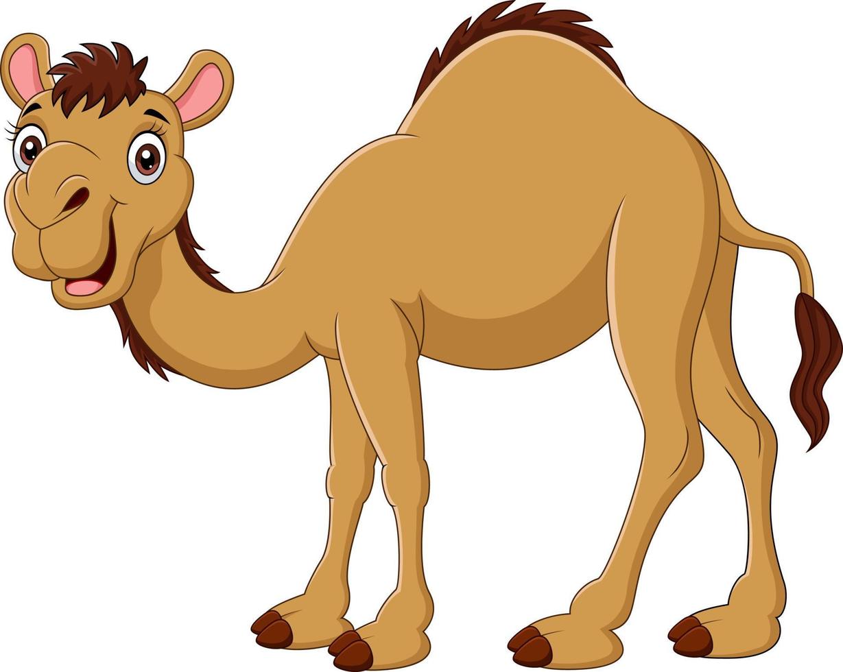 Cartoon camel isolated on white background vector