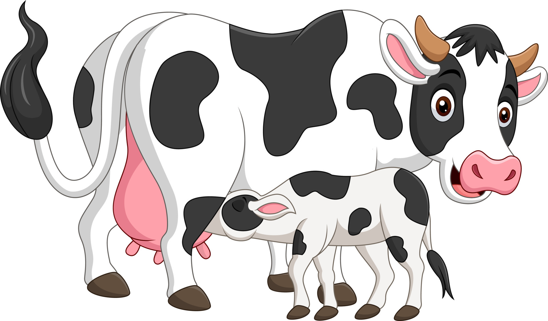 Cow Calf Vector Art, Icons, and Graphics for Free Download