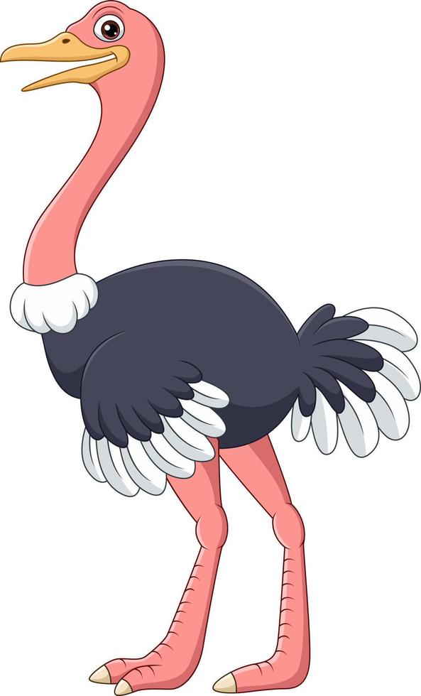 Cartoon happy ostrich isolated on white background vector