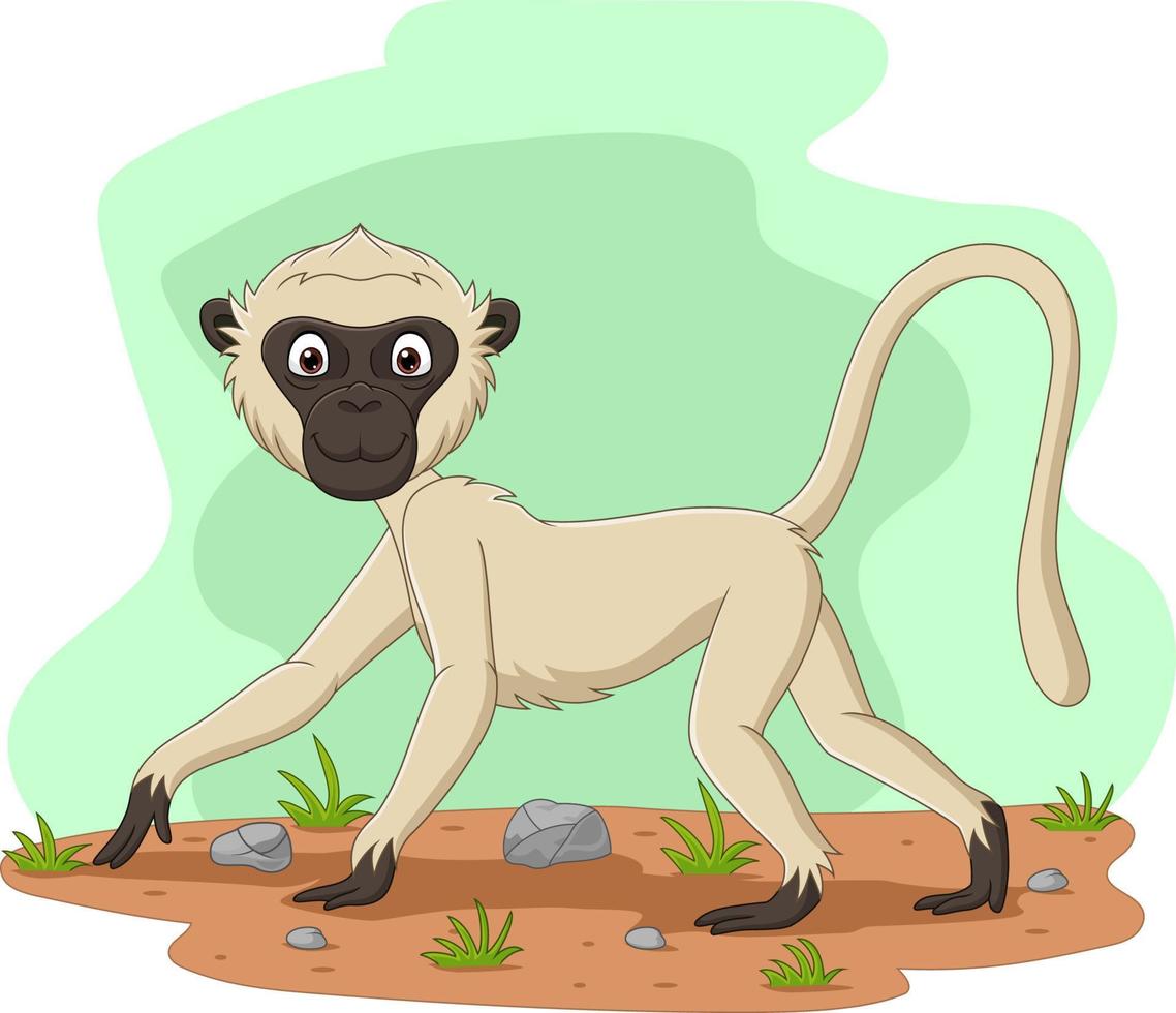 Cartoon vervet monkey in the field vector