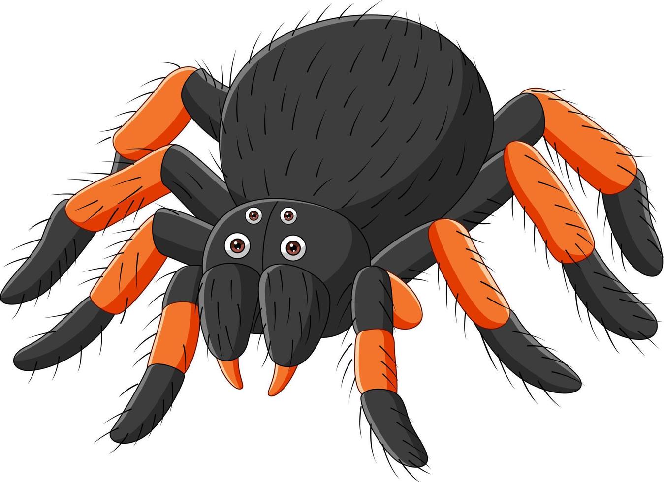 tarántula araña de dibujos animados sobre fondo blanco vector
