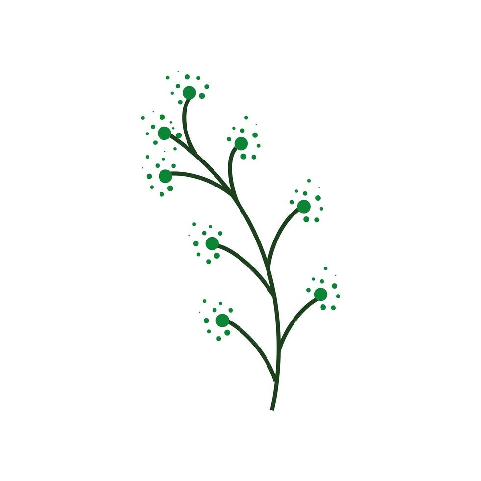 branch with berry nature plant on white background vector