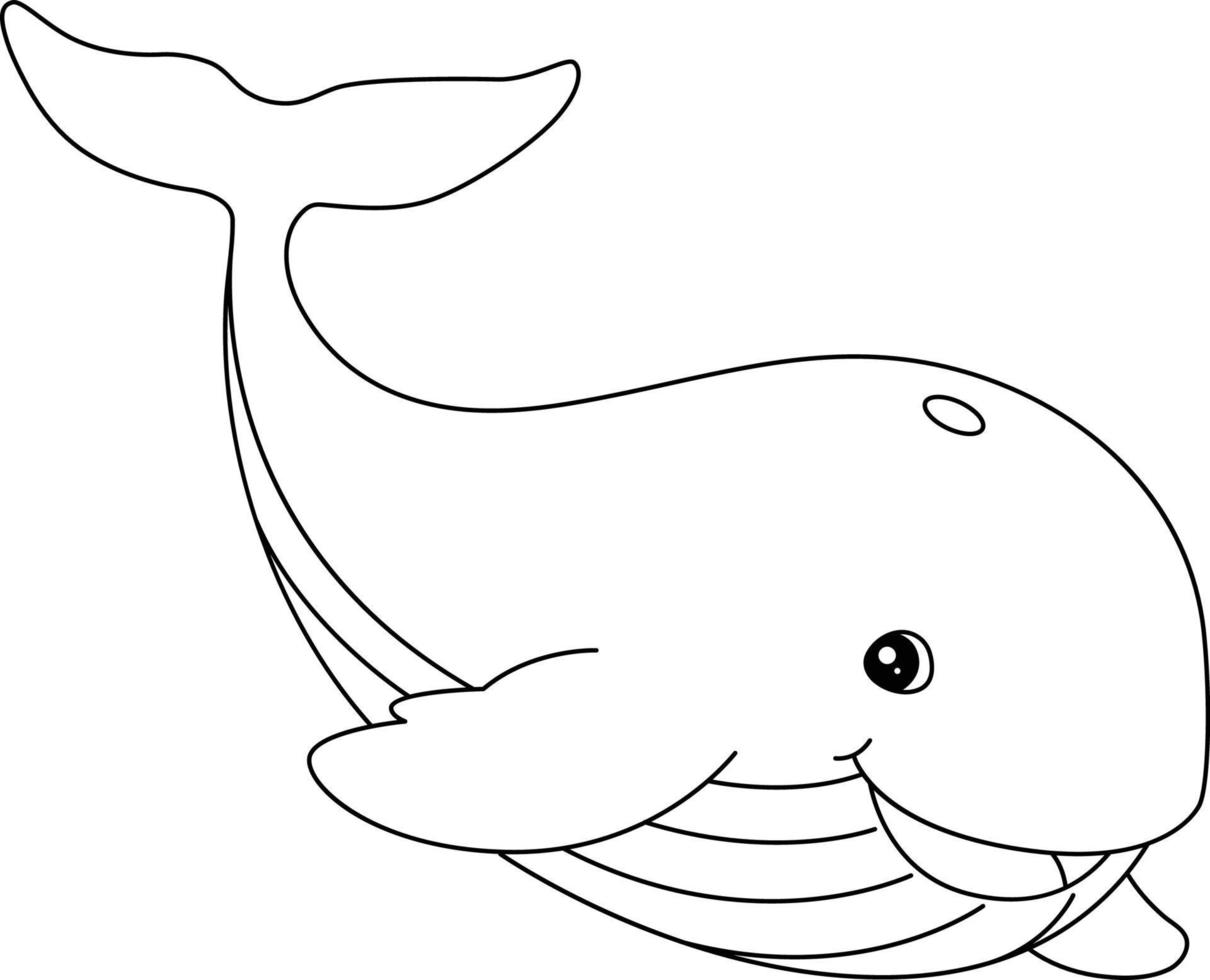 Whale Coloring Page Isolated for Kids vector