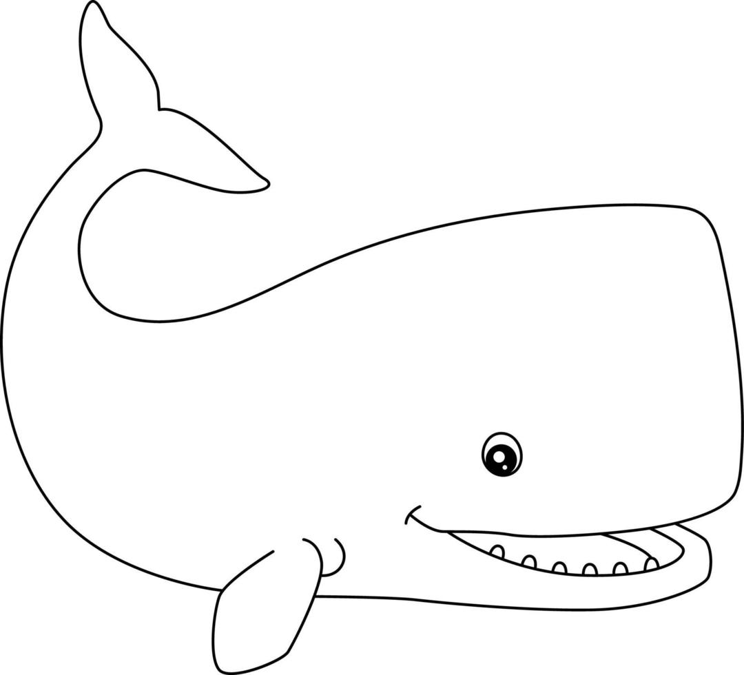 Sperm Whale Coloring Page Isolated for Kids vector