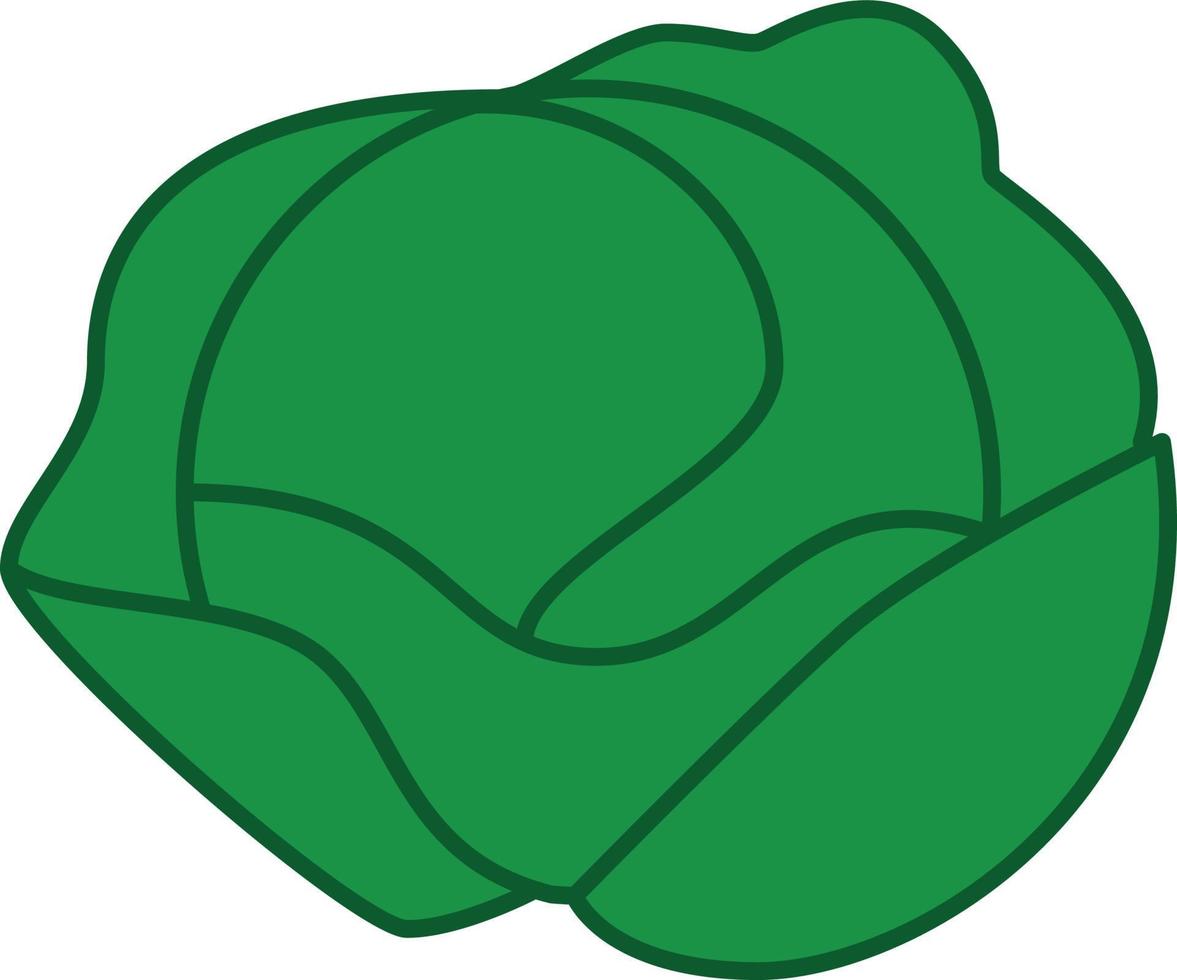 vector de icono de contorno lleno de lechuga iceberg