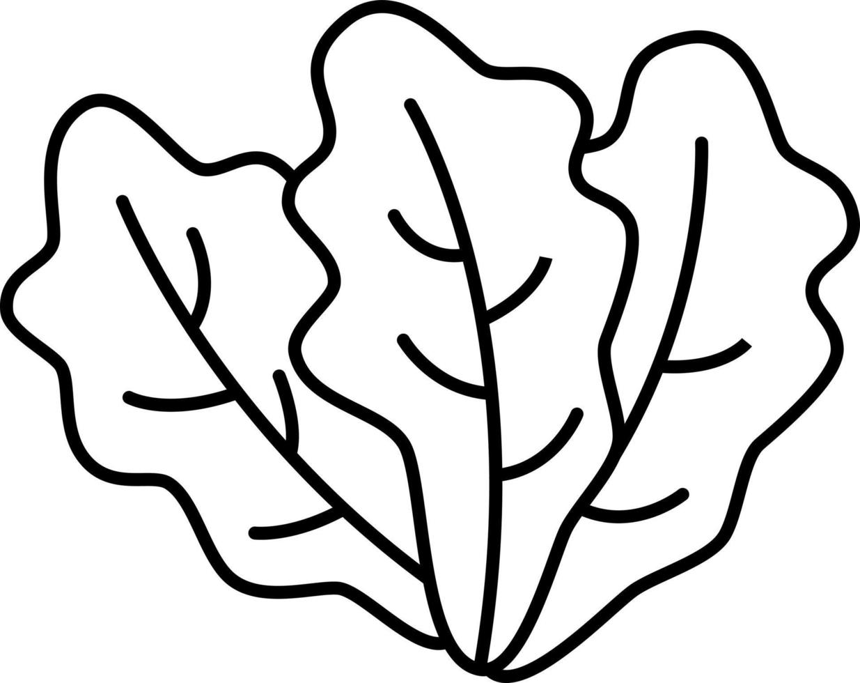 vector de icono de contorno de lechuga romana