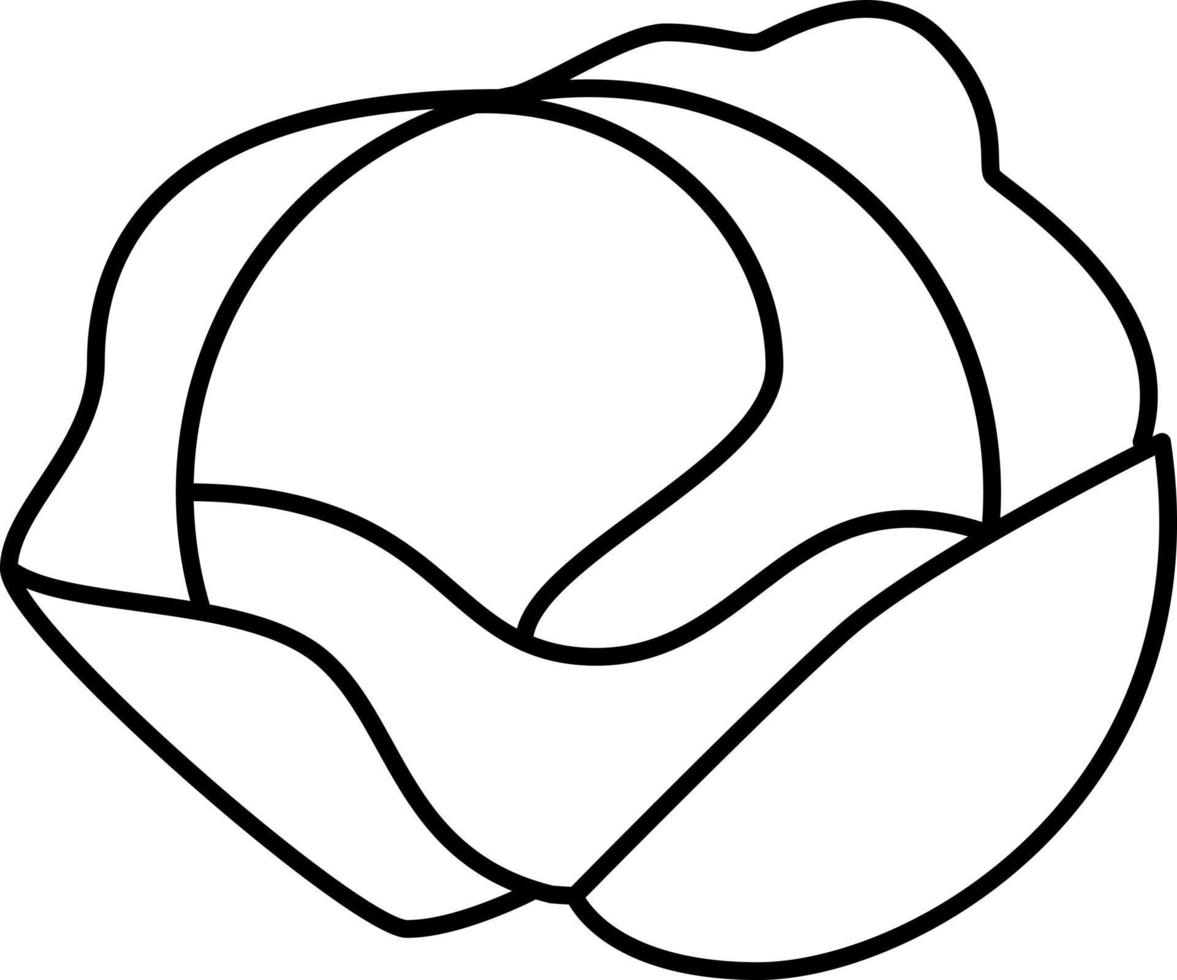 Iceberg Lettuce Outline Icon Vector
