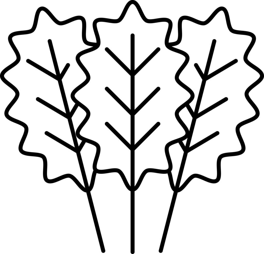 Kale Outline Icon Vegetable Vector
