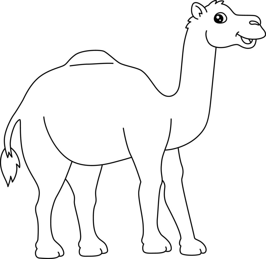 Dromedary Coloring Page Isolated for Kids vector