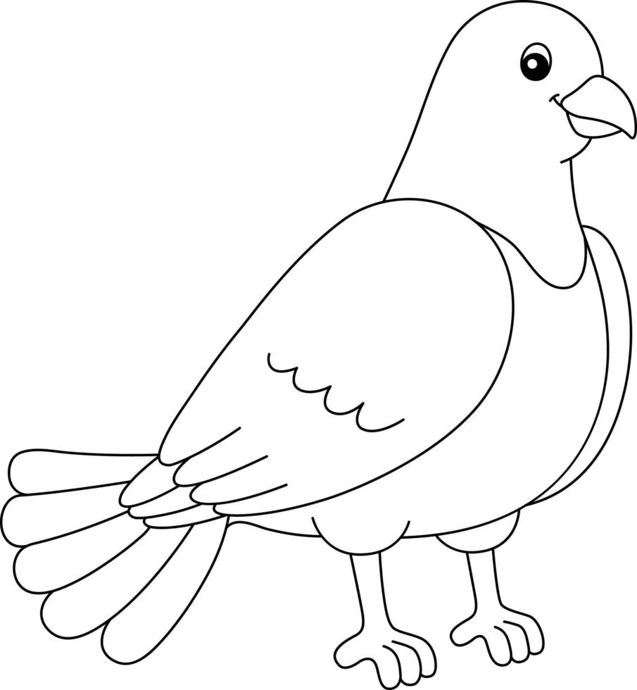 Pigeon Coloring Page Isolated for Kids vector